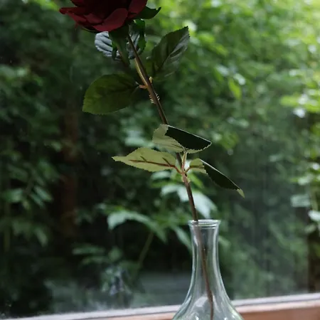 Juaniz Semesterbostad *