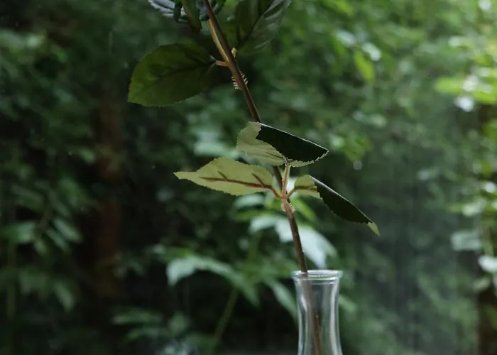 Juaniz Дом отдыха *